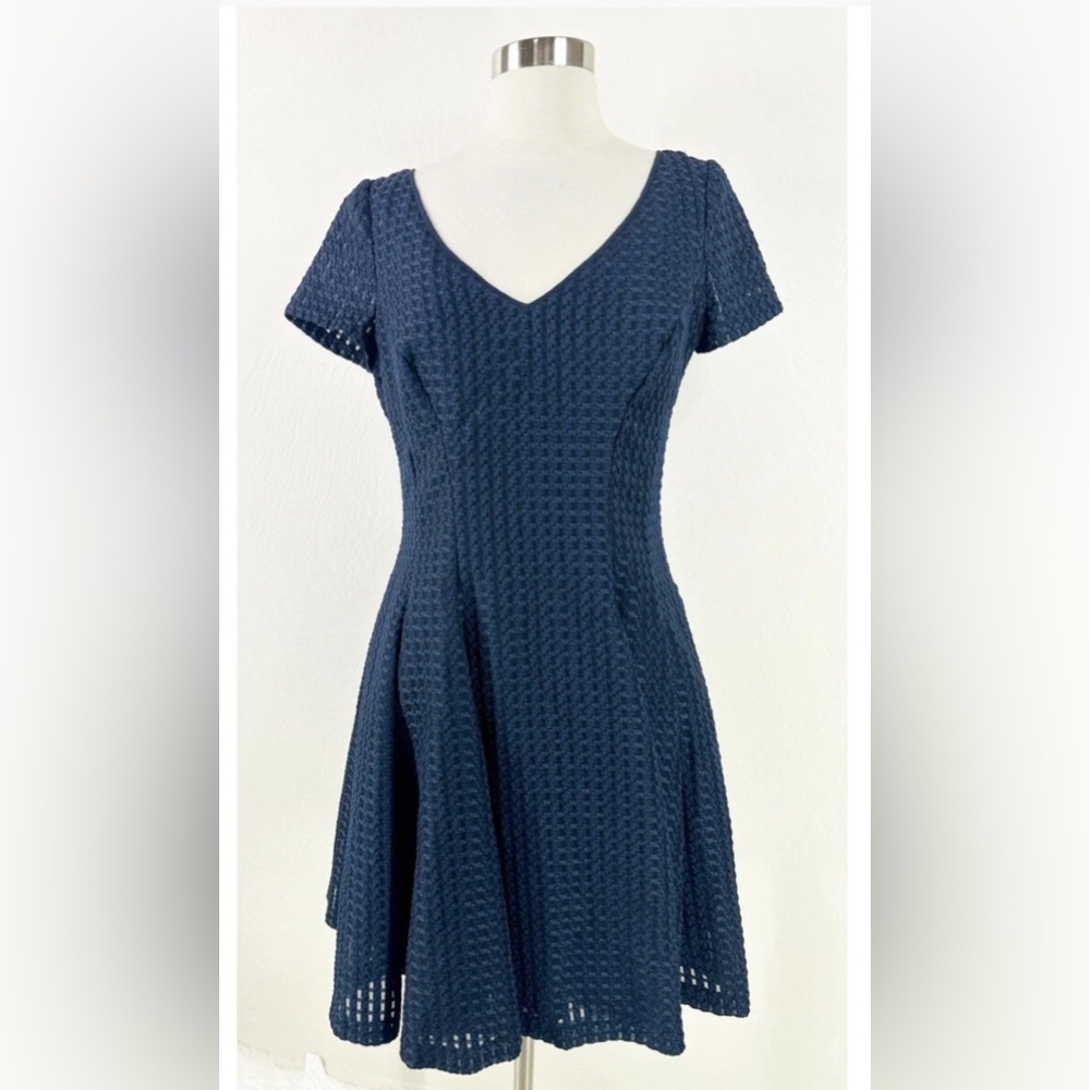 Nue by Shani Fit & Flare Cap Sleeve semi Sheer Womens Dress